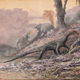 Image: Paul Barrett, Natural History Museum, London, artwork by Mark Witton.